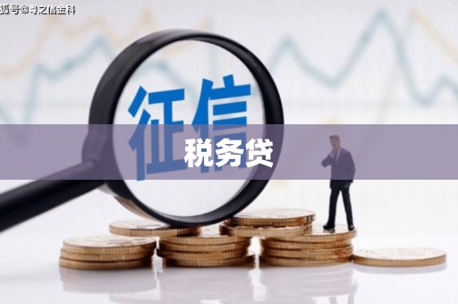 端州税务贷