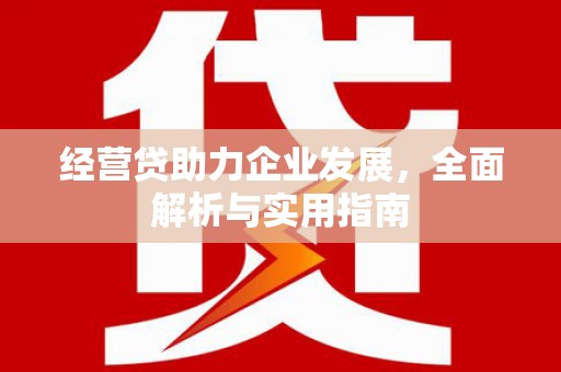 端州经营贷助力企业发展，全面解析与实用指南