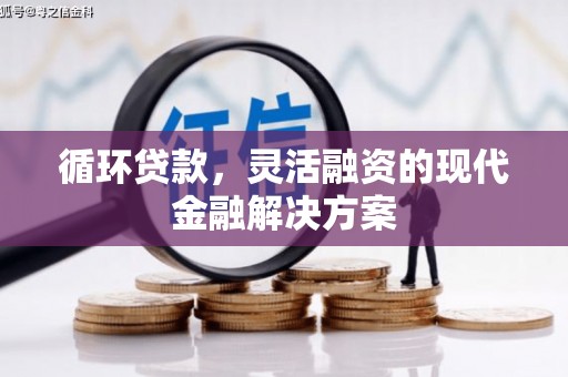 端州循环贷款，灵活融资的现代金融解决方案