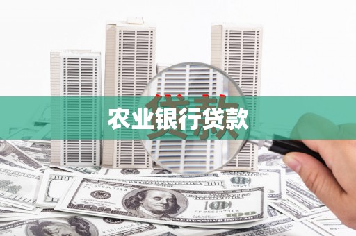 端州农业银行贷款