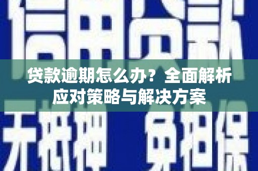 端州贷款逾期怎么办？全面解析应对策略与解决方案