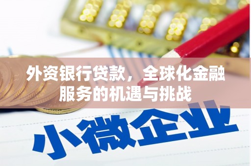 端州外资银行贷款，全球化金融服务的机遇与挑战