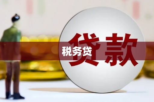 端州税务贷