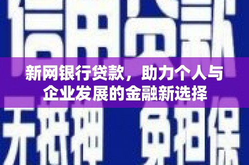 端州新网银行贷款，助力个人与企业发展的金融新选择