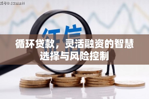 端州循环贷款，灵活融资的智慧选择与风险控制