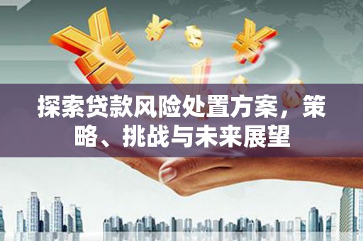 端州探索贷款风险处置方案，策略、挑战与未来展望