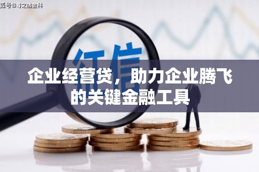 端州企业经营贷，助力企业腾飞的关键金融工具