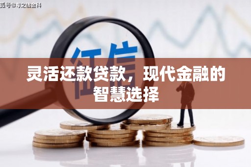 端州灵活还款贷款，现代金融的智慧选择