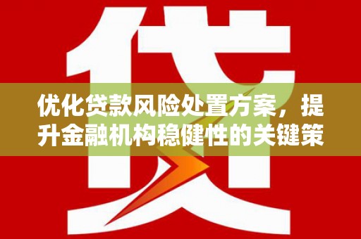 端州优化贷款风险处置方案，提升金融机构稳健性的关键策略