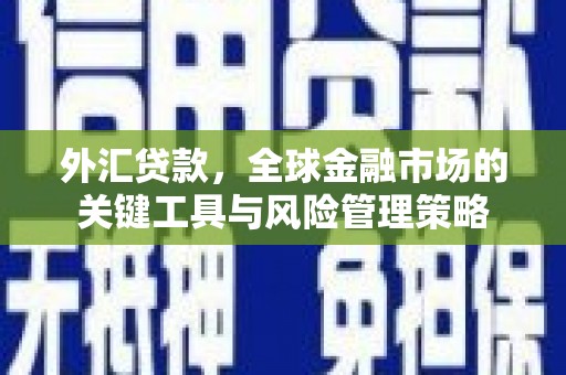 端州外汇贷款，全球金融市场的关键工具与风险管理策略