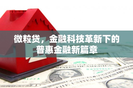 端州微粒贷，金融科技革新下的普惠金融新篇章