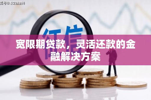 端州宽限期贷款，灵活还款的金融解决方案