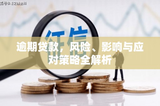 端州逾期贷款，风险、影响与应对策略全解析