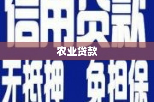 端州农业贷款