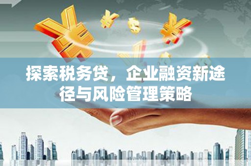 端州探索税务贷，企业融资新途径与风险管理策略