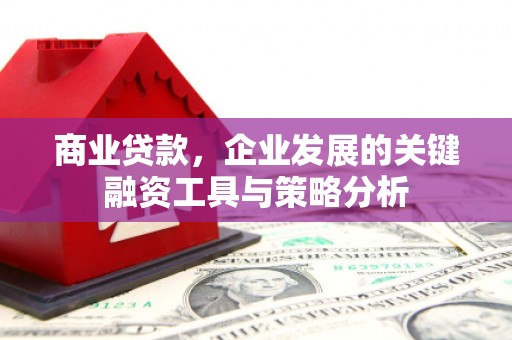 端州商业贷款，企业发展的关键融资工具与策略分析
