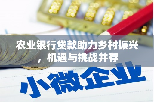 端州农业银行贷款助力乡村振兴，机遇与挑战并存