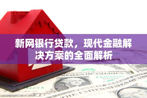 端州新网银行贷款，现代金融解决方案的全面解析