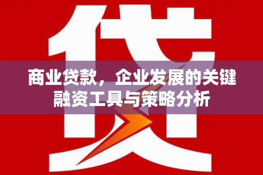 端州商业贷款，企业发展的关键融资工具与策略分析