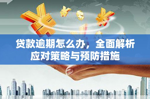 端州贷款逾期怎么办，全面解析应对策略与预防措施