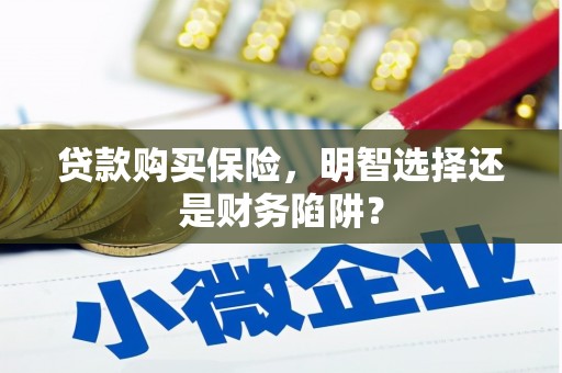 端州贷款购买保险，明智选择还是财务陷阱？