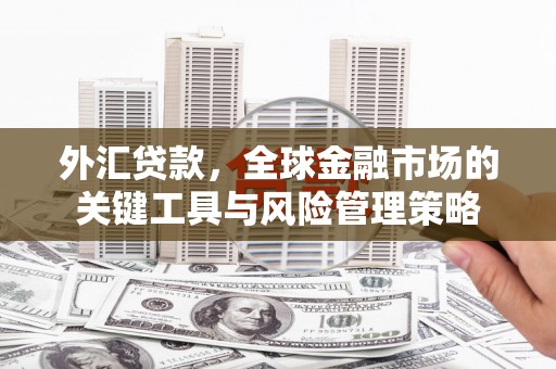 端州外汇贷款，全球金融市场的关键工具与风险管理策略