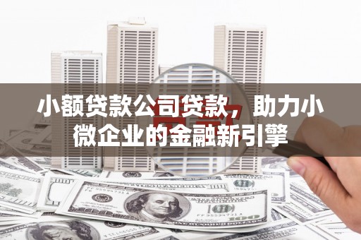 端州小额贷款公司贷款，助力小微企业的金融新引擎