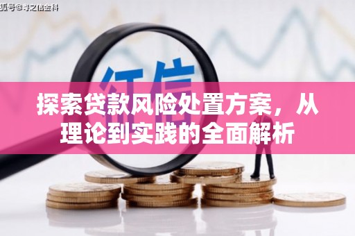 端州探索贷款风险处置方案，从理论到实践的全面解析