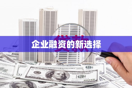 端州企业融资的新选择