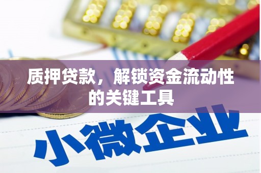 端州质押贷款，解锁资金流动性的关键工具