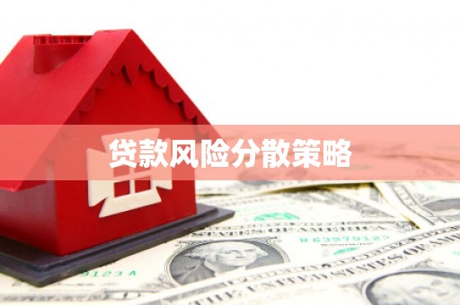 端州贷款风险分散策略