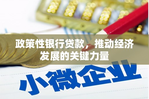 端州政策性银行贷款，推动经济发展的关键力量