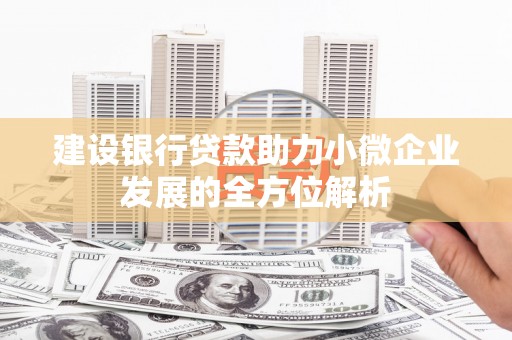 端州建设银行贷款助力小微企业发展的全方位解析