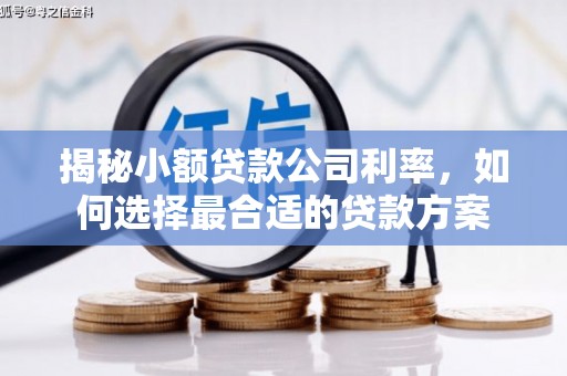 端州揭秘小额贷款公司利率，如何选择最合适的贷款方案