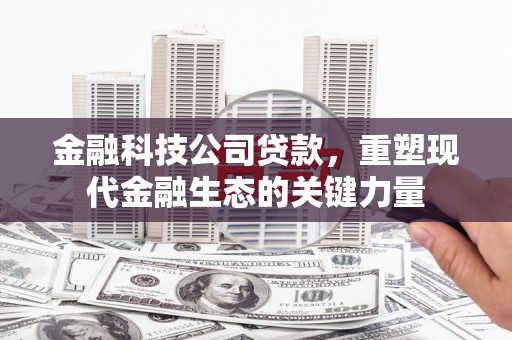 端州金融科技公司贷款，重塑现代金融生态的关键力量