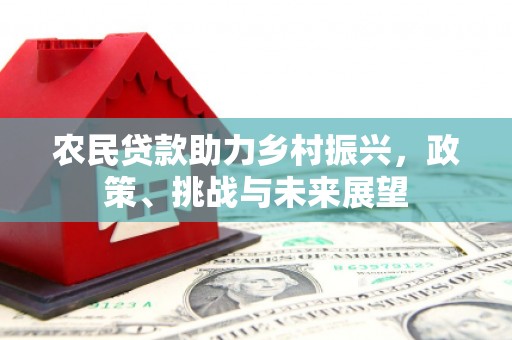 端州农民贷款助力乡村振兴，政策、挑战与未来展望