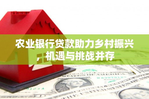 端州农业银行贷款助力乡村振兴，机遇与挑战并存