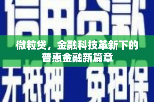 端州微粒贷，金融科技革新下的普惠金融新篇章