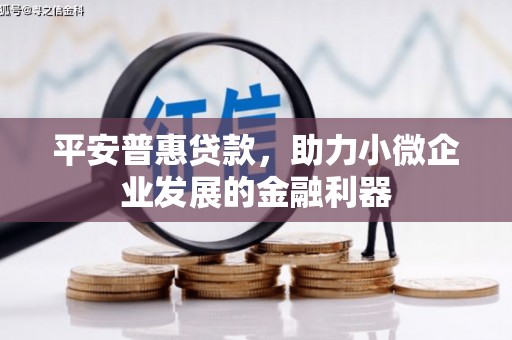 端州平安普惠贷款，助力小微企业发展的金融利器