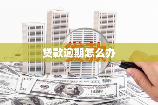 端州贷款逾期怎么办