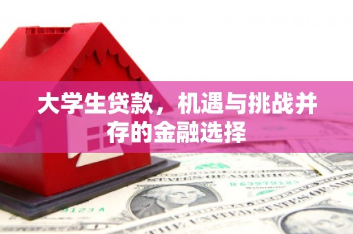 端州大学生贷款，机遇与挑战并存的金融选择