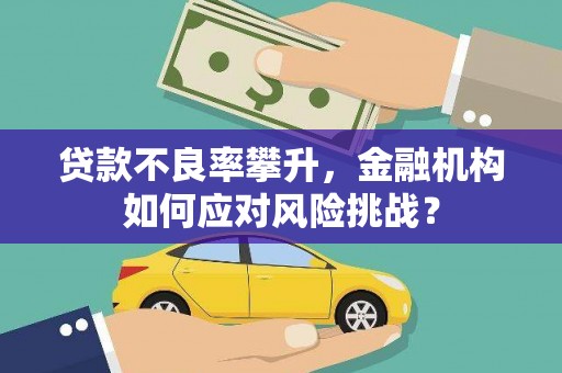 端州贷款不良率攀升，金融机构如何应对风险挑战？