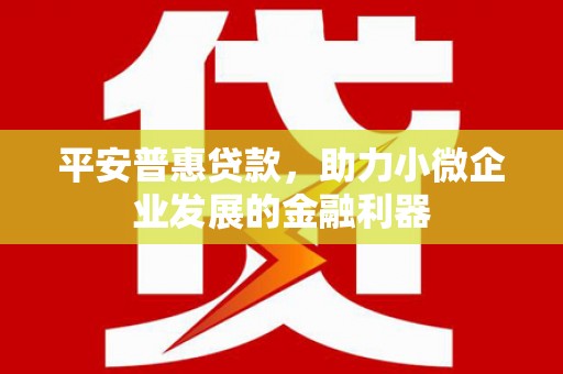 端州平安普惠贷款，助力小微企业发展的金融利器