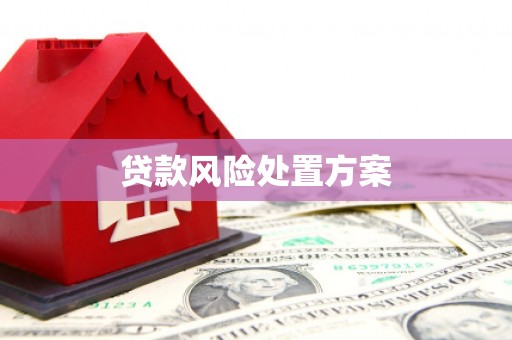 端州贷款风险处置方案