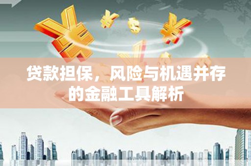 端州贷款担保，风险与机遇并存的金融工具解析