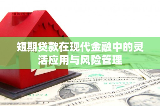 端州短期贷款在现代金融中的灵活应用与风险管理