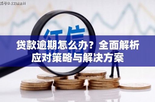 端州贷款逾期怎么办？全面解析应对策略与解决方案