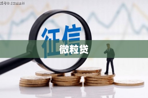 端州微粒贷