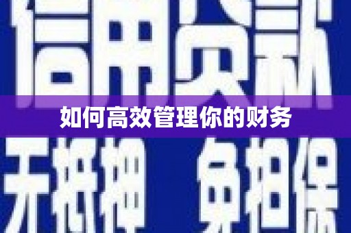 端州如何高效管理你的财务