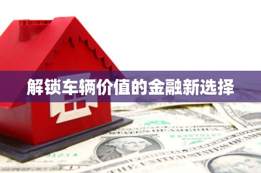 端州解锁车辆价值的金融新选择